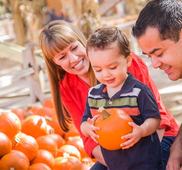 Fall Crafts and Activities for Occupational Therapy at Home