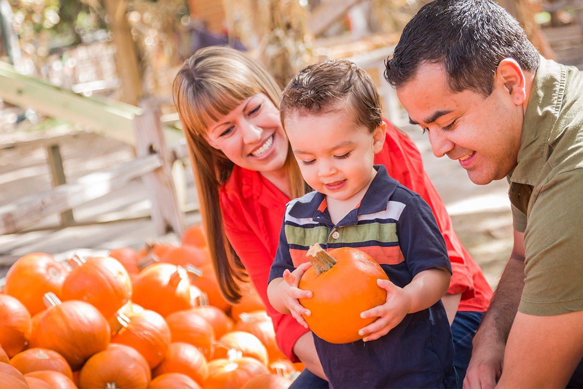 A family of three, including a man, woman, and child, explores pumpkins, promoting occupational therapy activities at home.